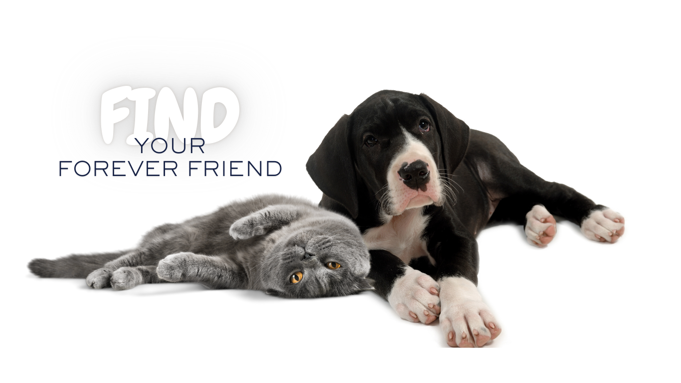 slider image slider_item_XRL6r9