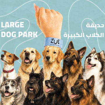 Large Dog Park