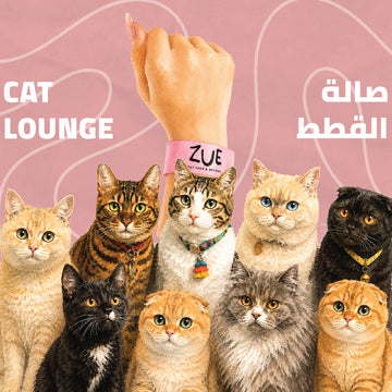 Cat Lounge