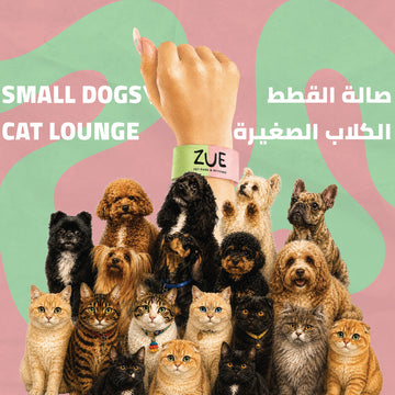 Small Dogs Park + Cat Lounge