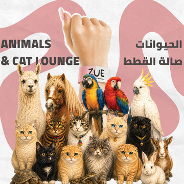 Cat Lounge + Animals Park