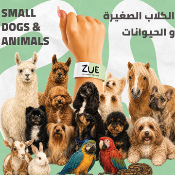 Small Dogs + Animals Park