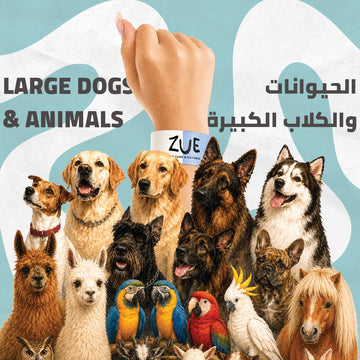 Large Dogs + Animals Park
