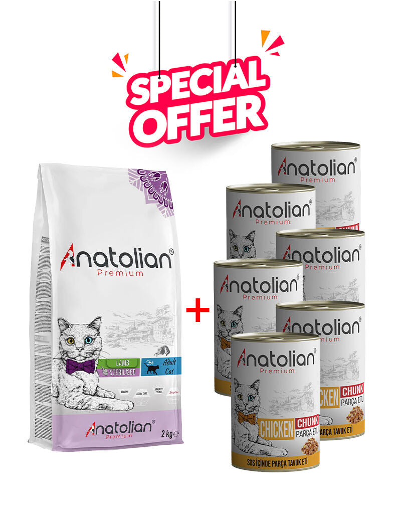 Anatolian Pet neutered cat food with 1kg lamb and 6 cans of 400g chicken wet food in a natural setting