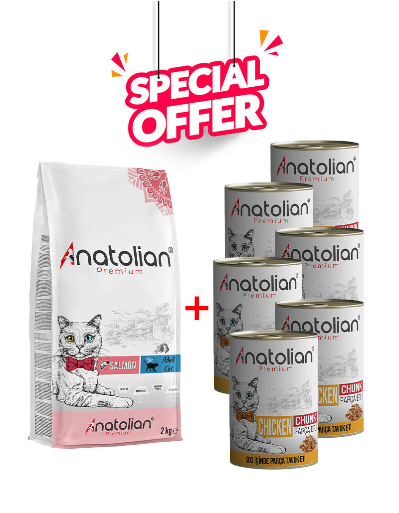 Anatolian Pet salmon and chicken wet cat food, 1x2kg salmon and 6x400g chicken cans, served in colorful bowls.