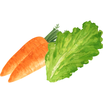 Vegetables for Animals