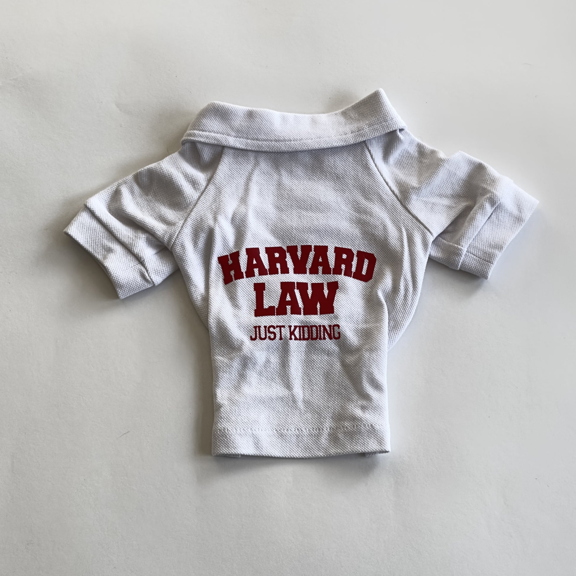 Ziggy Dog Harvard T-Shirt XL - ملابس للحيوانات الأليفة - Zue For Pet Supplies Co.