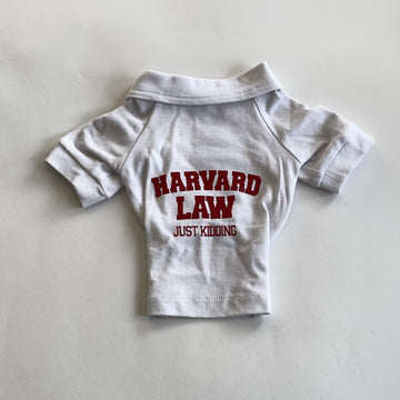 Ziggy Dog Harvard T-Shirt XL - ملابس للحيوانات الأليفة - Zue For Pet Supplies Co.
