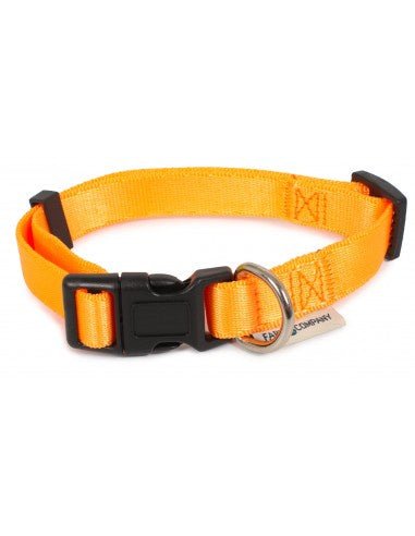 Farm Company Nylon adjustable collar Fluo Orange - 10mmx20 - 35cm - مستلزمات الحيوانات الأليفة - Zue For Pet Supplies Co.