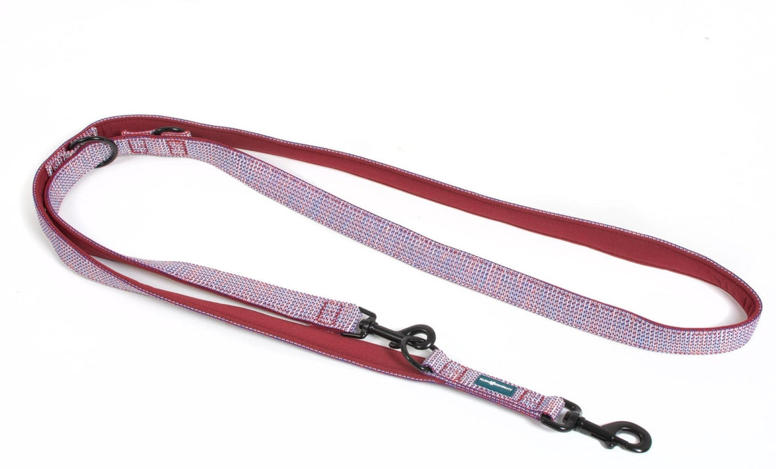 Farm Company nylon deluxe padded training leash in burgundy, 25mm wide, designed for comfortable dog training and control.