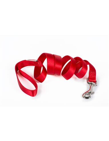 Red nylon dog leash from Farm Company, 20mm wide and 120cm long, suitable for control and walking dogs.