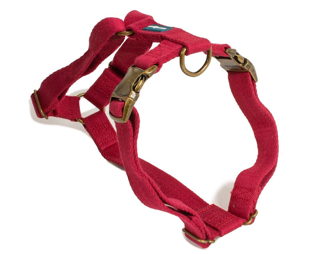 Farm Company Green Soybean Adjustable Harness Burgundy - 2.5x60 80cm - مجموعة رباط تحكم وصدرية للكلاب - Zue For Pet Supplies Co.