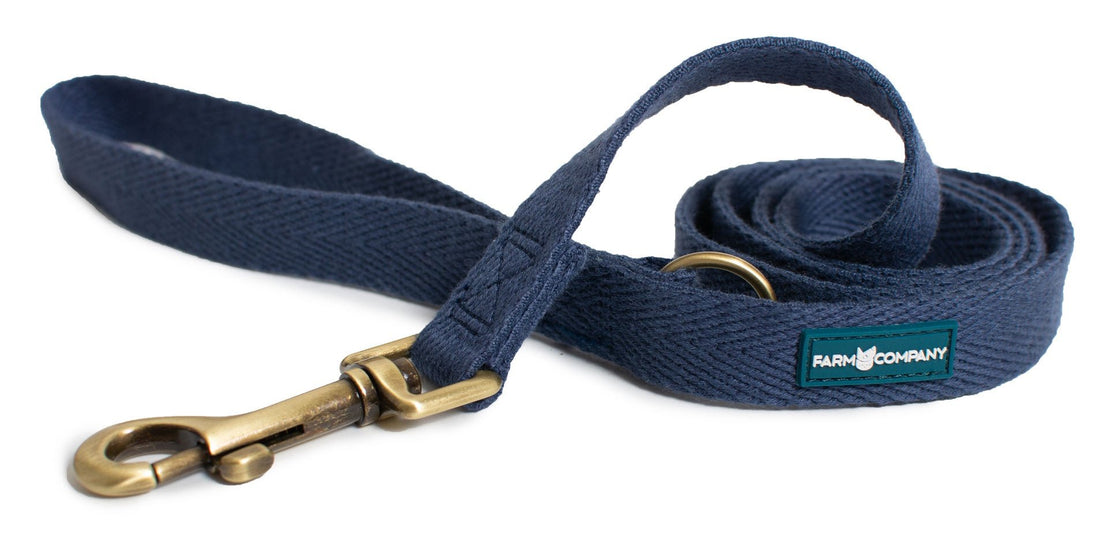 Farm Company Green Soybean Leash Blue Navy - L/XL 2.5x120cm - رباط تحكم للكلاب - Zue For Pet Supplies Co.