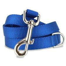 Blue Farm Company nylon dog leash, 25 mm wide and 120 cm long, with a metal clip for secure pet restraint.