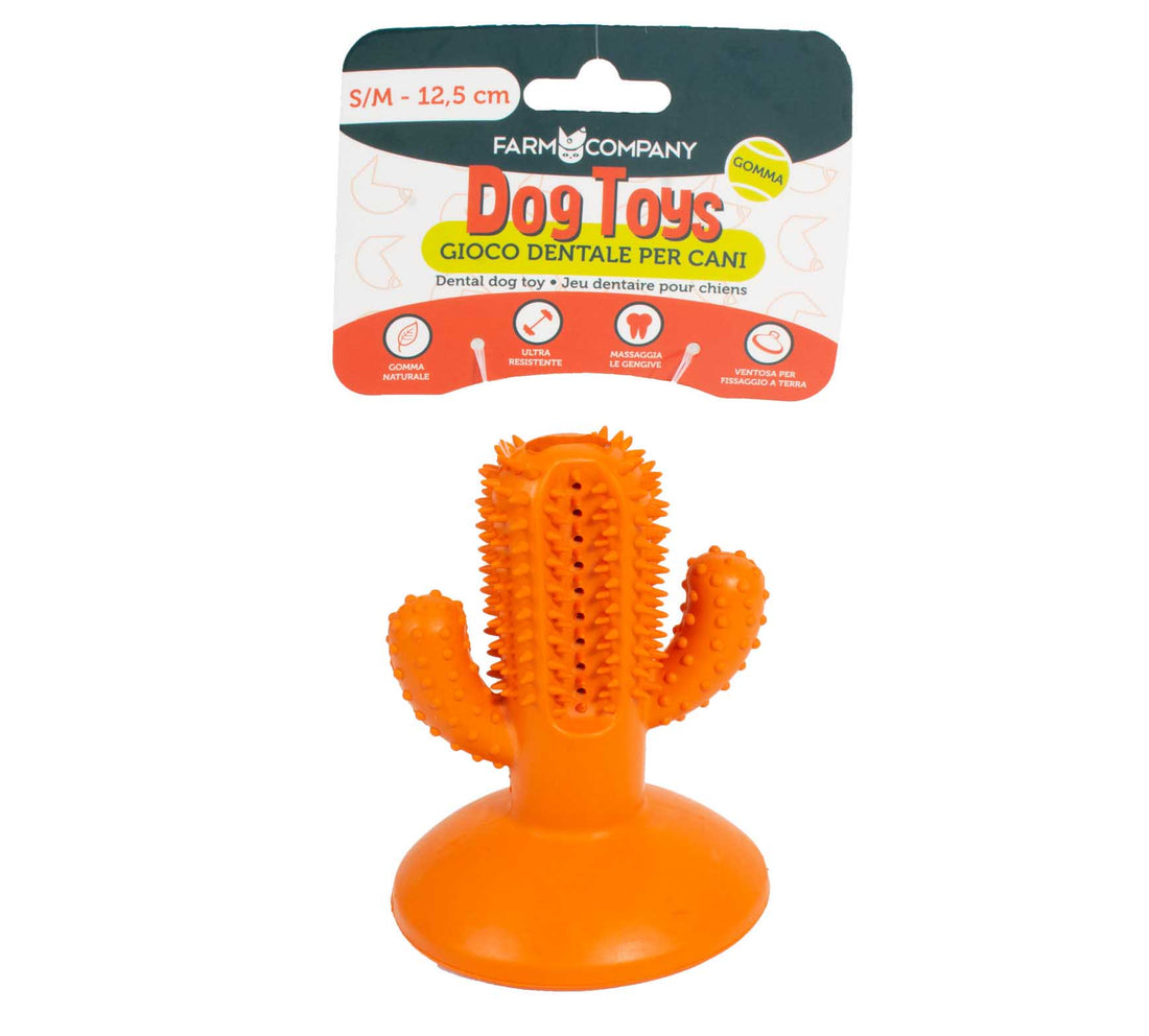 Farm Company Cactus Dental Rubber Toy with Suction Cup - 12.5cm - ألعاب الكلاب - Zue For Pet Supplies Co.