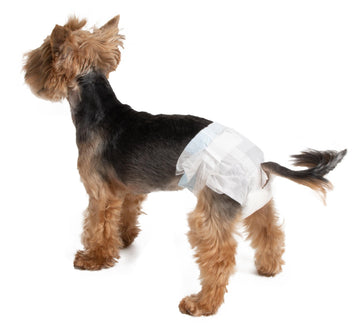 Farm Company female disposable diapers in M/L size, 12-pack, featuring soft, breathable material for comfortable hygiene and care.