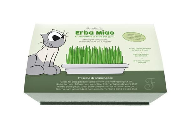 Ferribiella CAT GRASS - Zue For Pet Supplies Co.