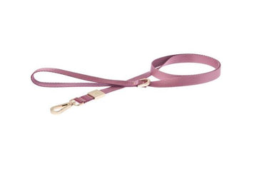 Ferribiella LEASH SIZE 100X3CM GREEN - Zue For Pet Supplies Co.