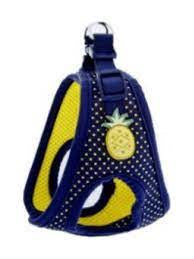 Ferribiella Harness Pois Pineapple XS 28-34cm - مجموعة رباط تحكم وصدرية للكلاب - Zue For Pet Supplies Co.