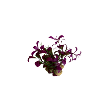 Flamingo Aq. Plant with stones for aquarium decoration, small size, colorful aquatic plant accessory with decorative stones.