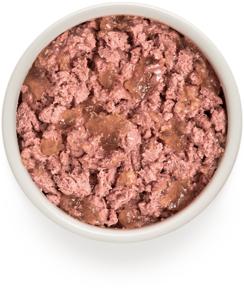 Grandorf Buffalo & Turkey adult dog food in 400g can, featuring natural ingredients for healthy canine nutrition.