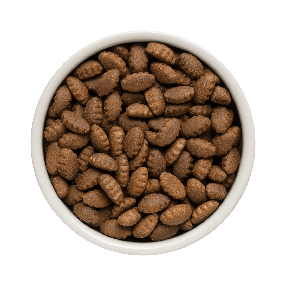 Grandorf Lamb & Turkey dog food for adult medium and maxi breeds in a 10kg bag, natural ingredients for healthy dogs.