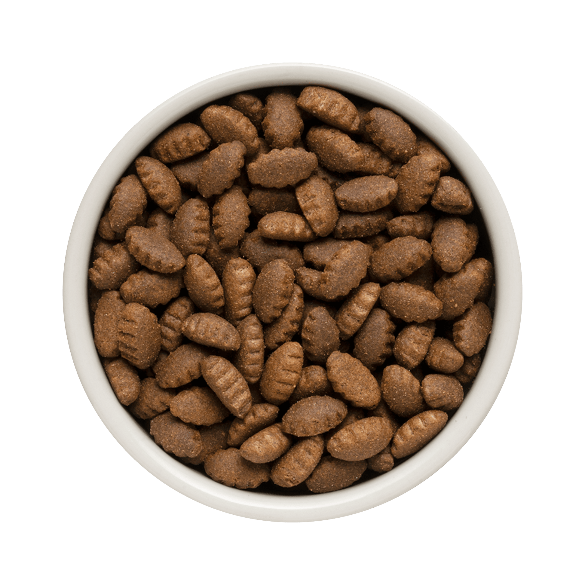 Grandorf Lamb & Turkey dog food for adult medium and maxi breeds in a 10kg bag, featuring natural ingredients for healthy digestion.