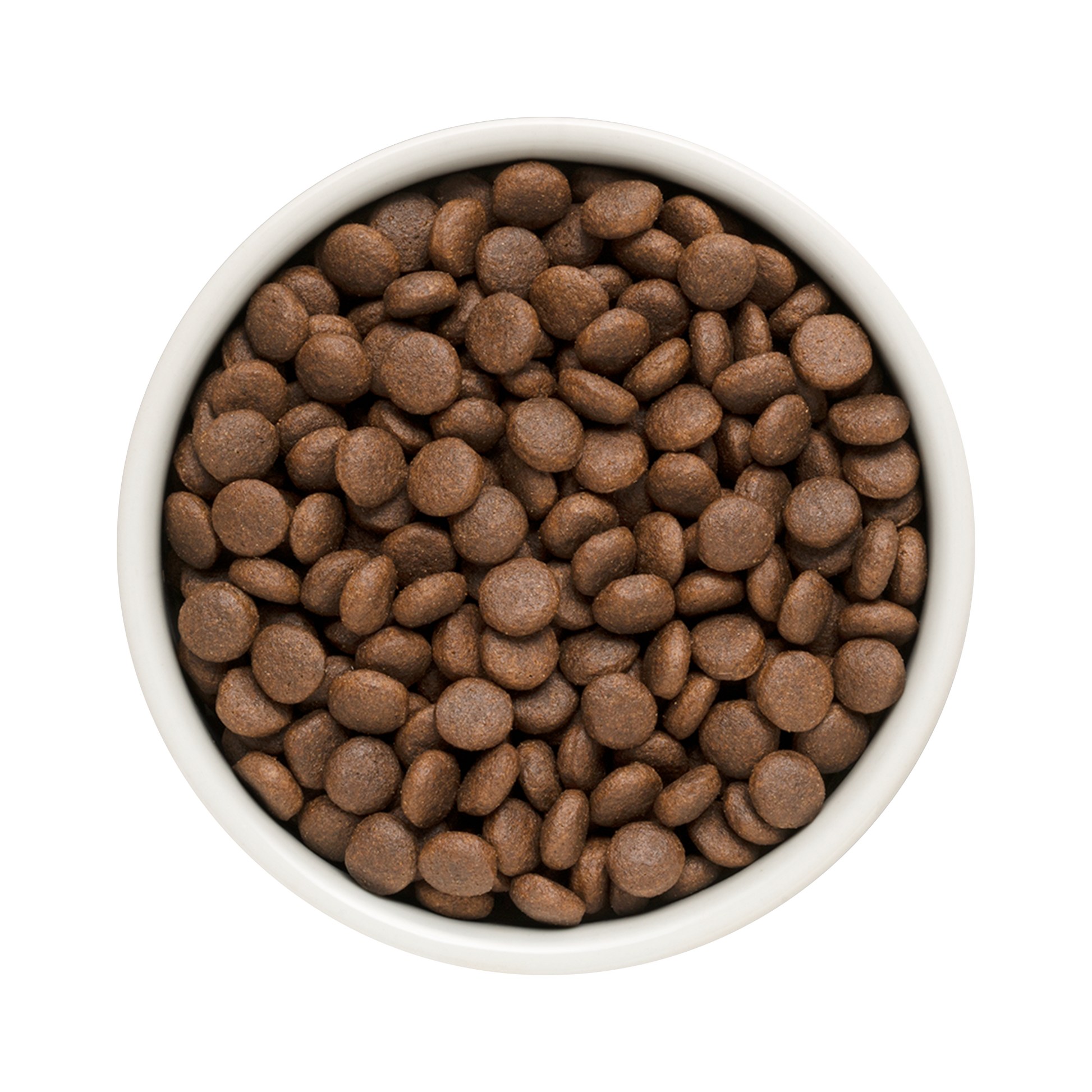 Grandorf Lamb & Turkey Junior Dog Food for medium and maxi breeds, 3kg bag, natural dog food by Grandorf.