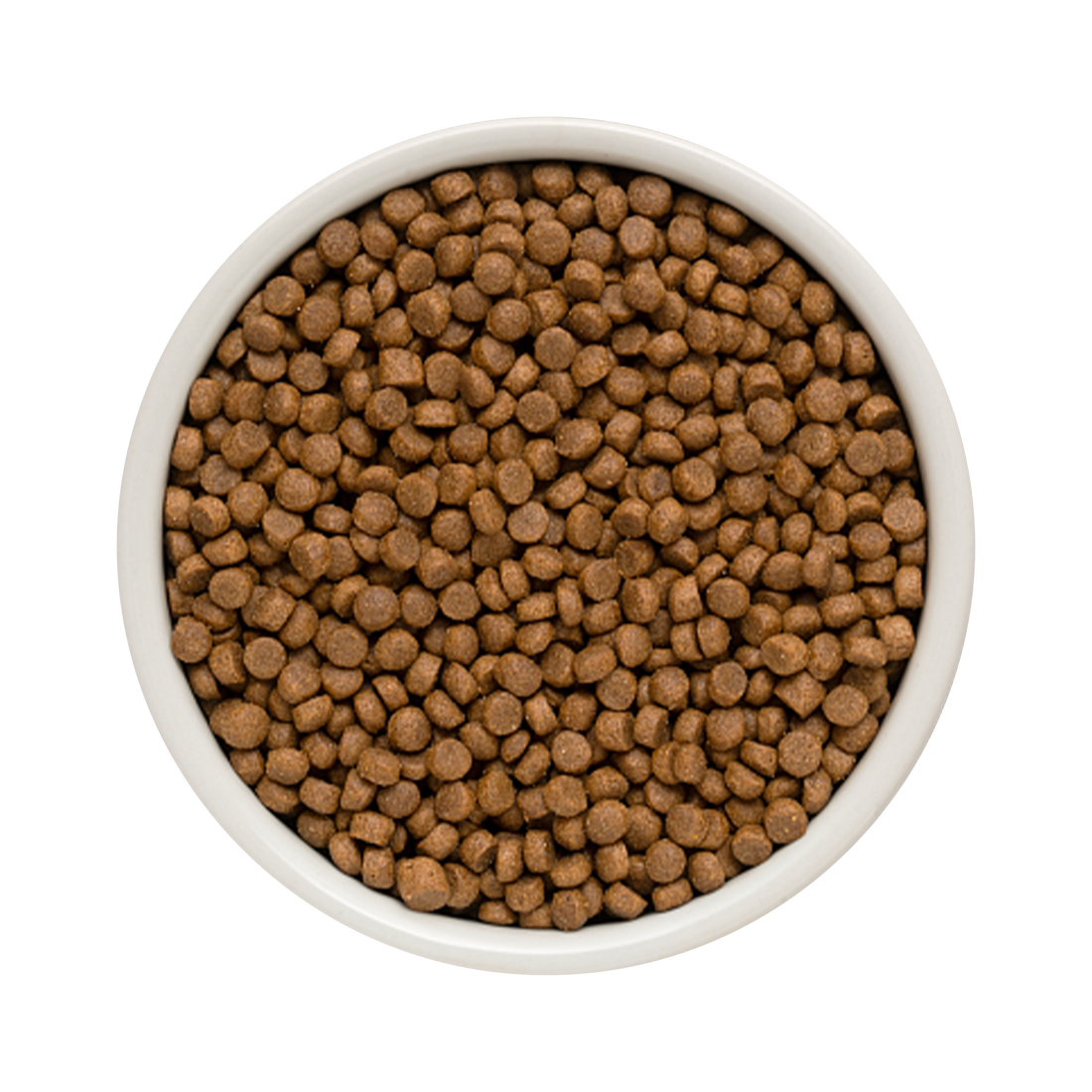 Grandorf Lamb & Turkey puppy dog food in 1kg bag, natural dry food for puppies with lamb and turkey ingredients.