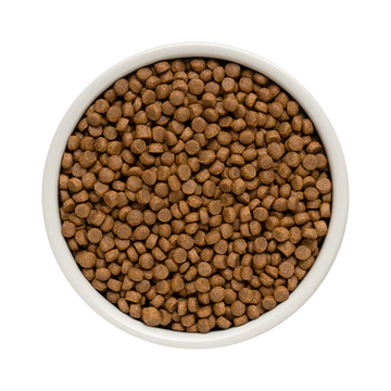Small Dogs Treat