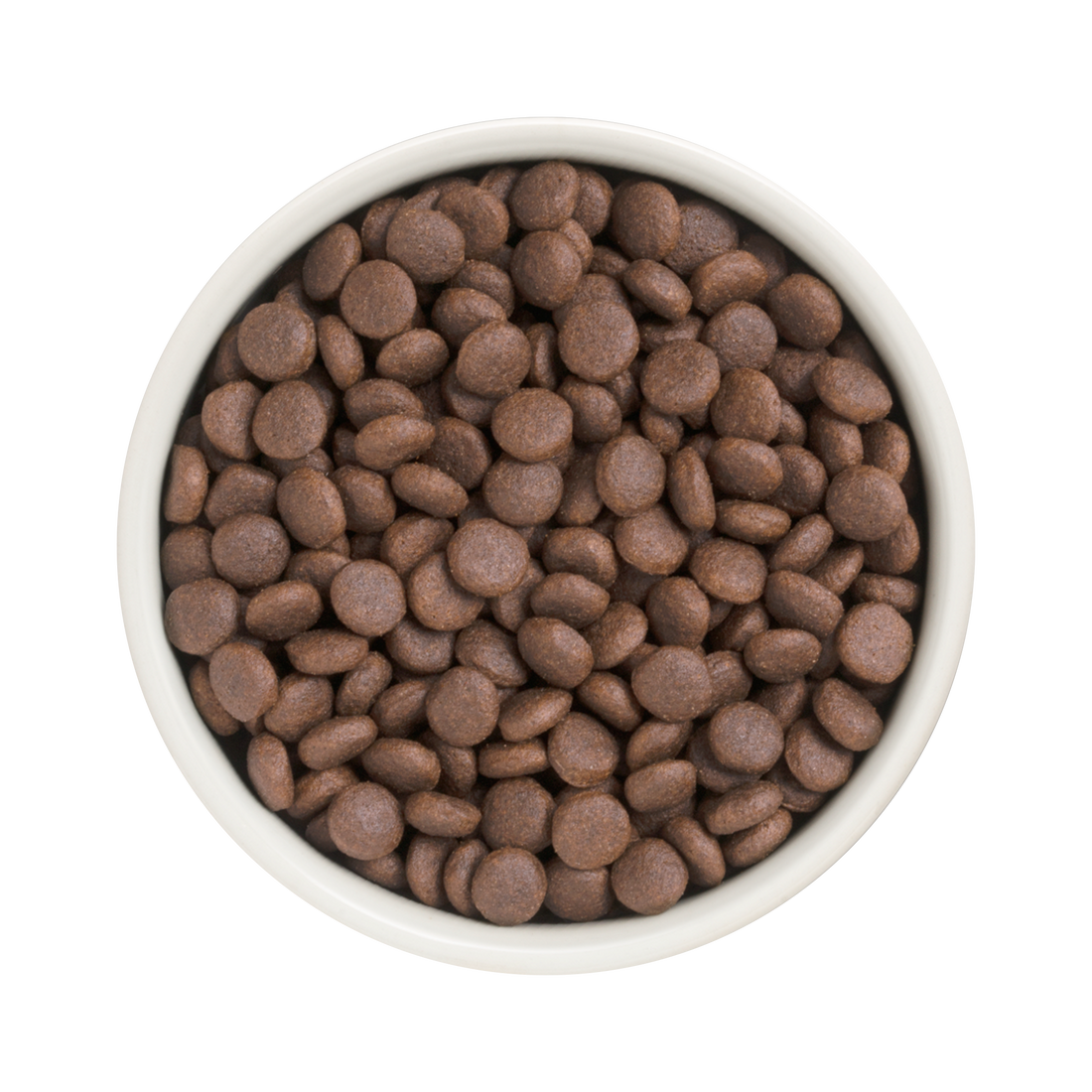 Grandorf Turkey dog food for adult medium and maxi breeds, 1kg, natural nutrition for healthy dogs