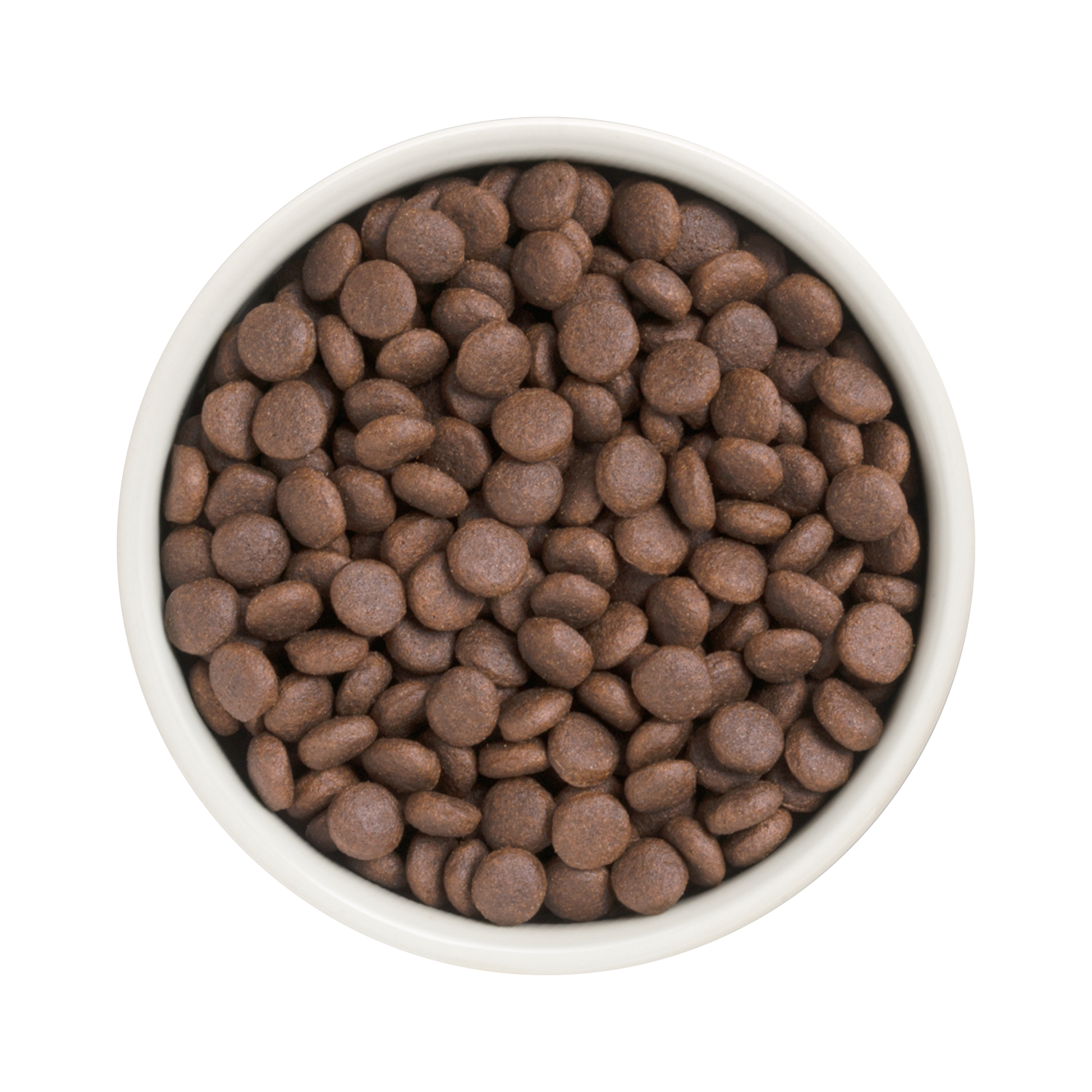 Grandorf Turkey dog food for adult medium and maxi breeds in 1kg bag, natural nutritional formula for healthy dogs