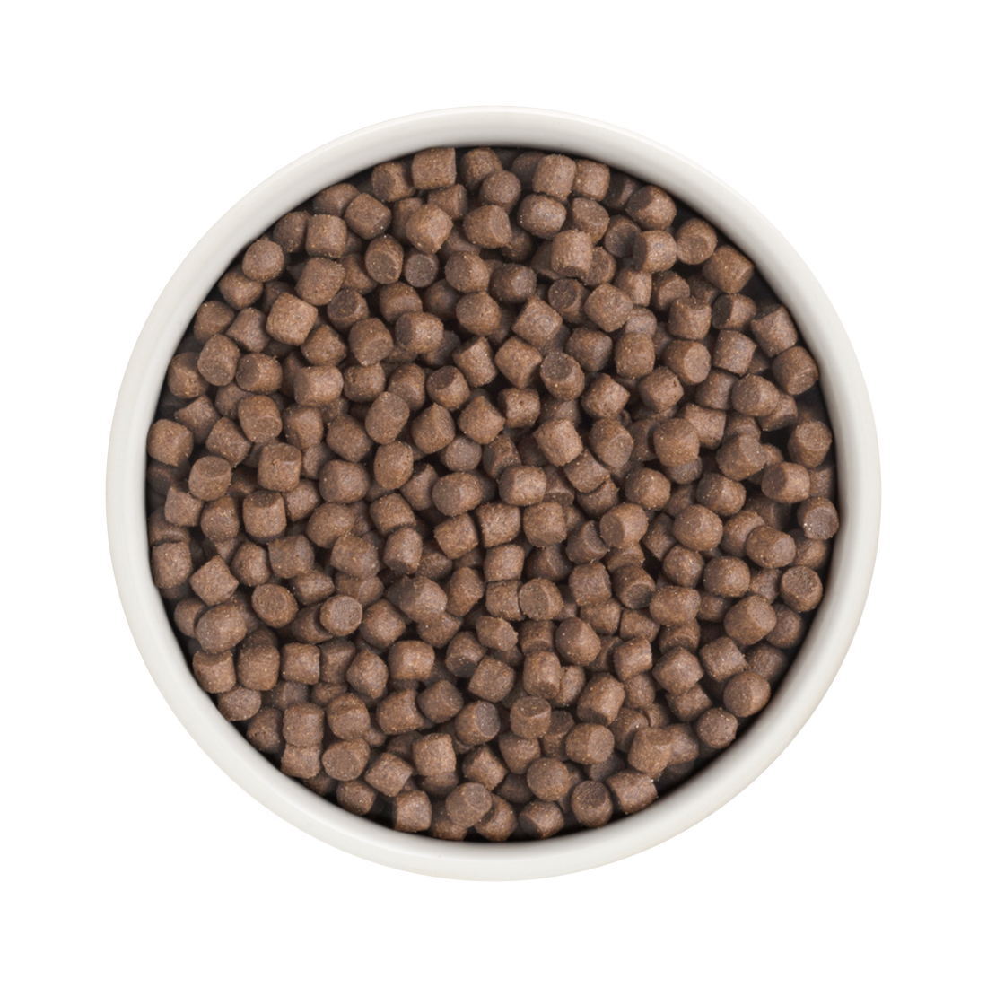 Grandorf Turkey dog food for adult mini breeds in 1kg bag, natural grain-free formula suitable for small dogs.