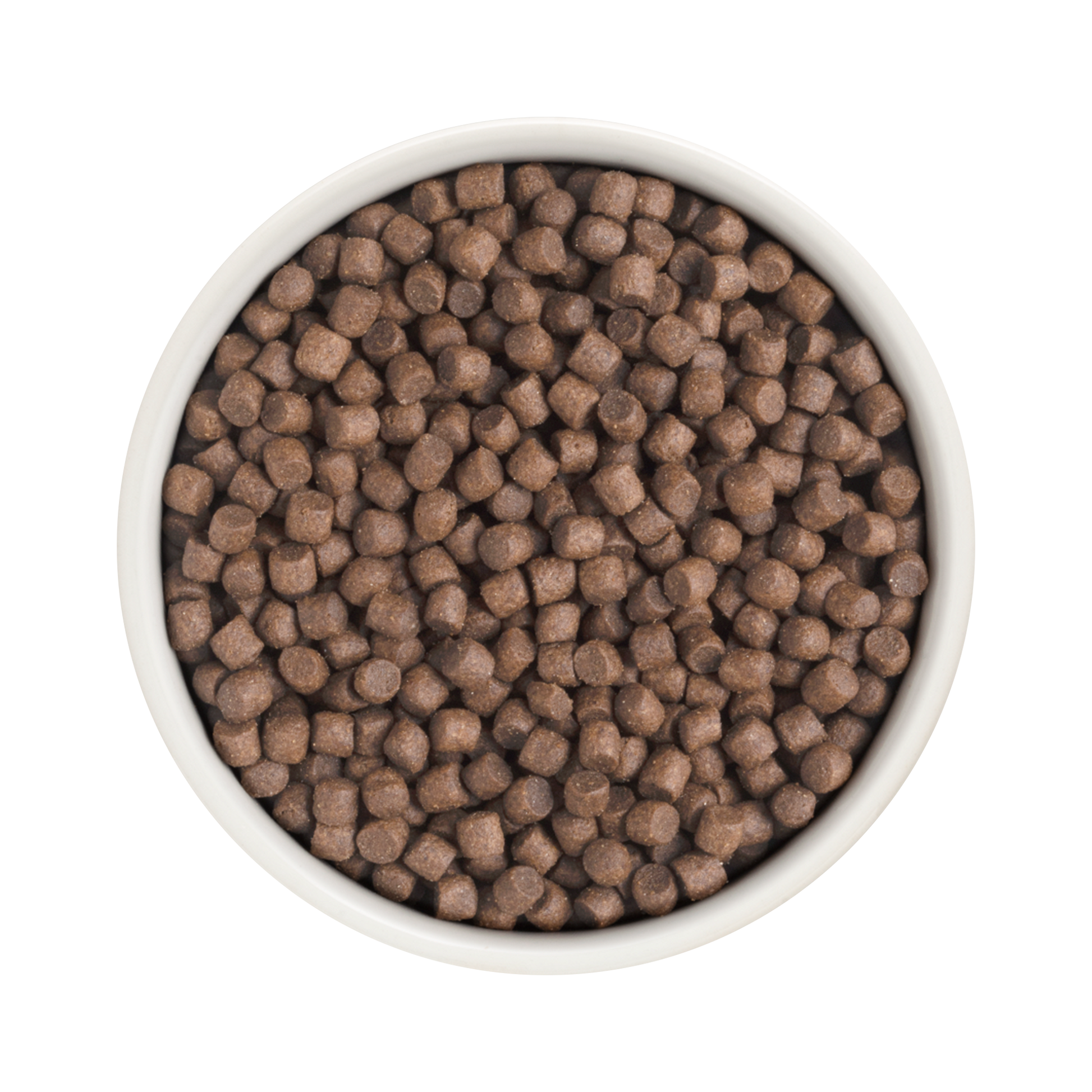 Grandorf Turkey dog food for adult mini breeds in 1kg bag, natural grain-free formula for small breed dogs.