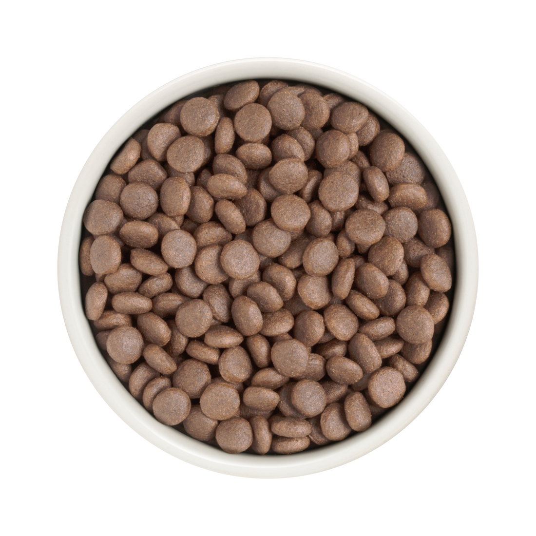 Grandorf White Fish dog food for adult medium and maxi breeds in a 1kg bag, featuring nutritious white fish ingredients.