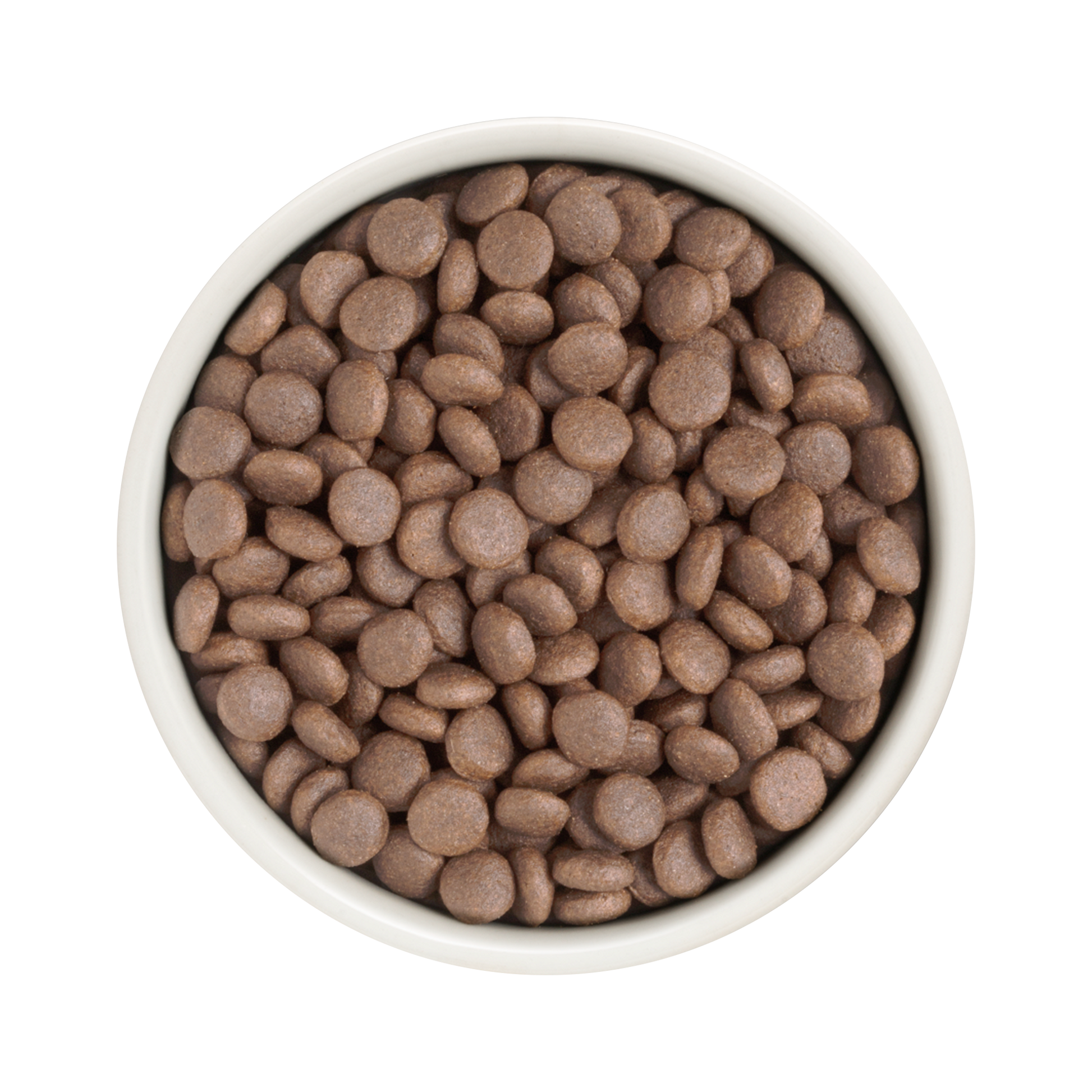 Grandorf White Fish dog food for adult medium and maxi breeds in a 1kg bag, natural kibble with white fish ingredients.