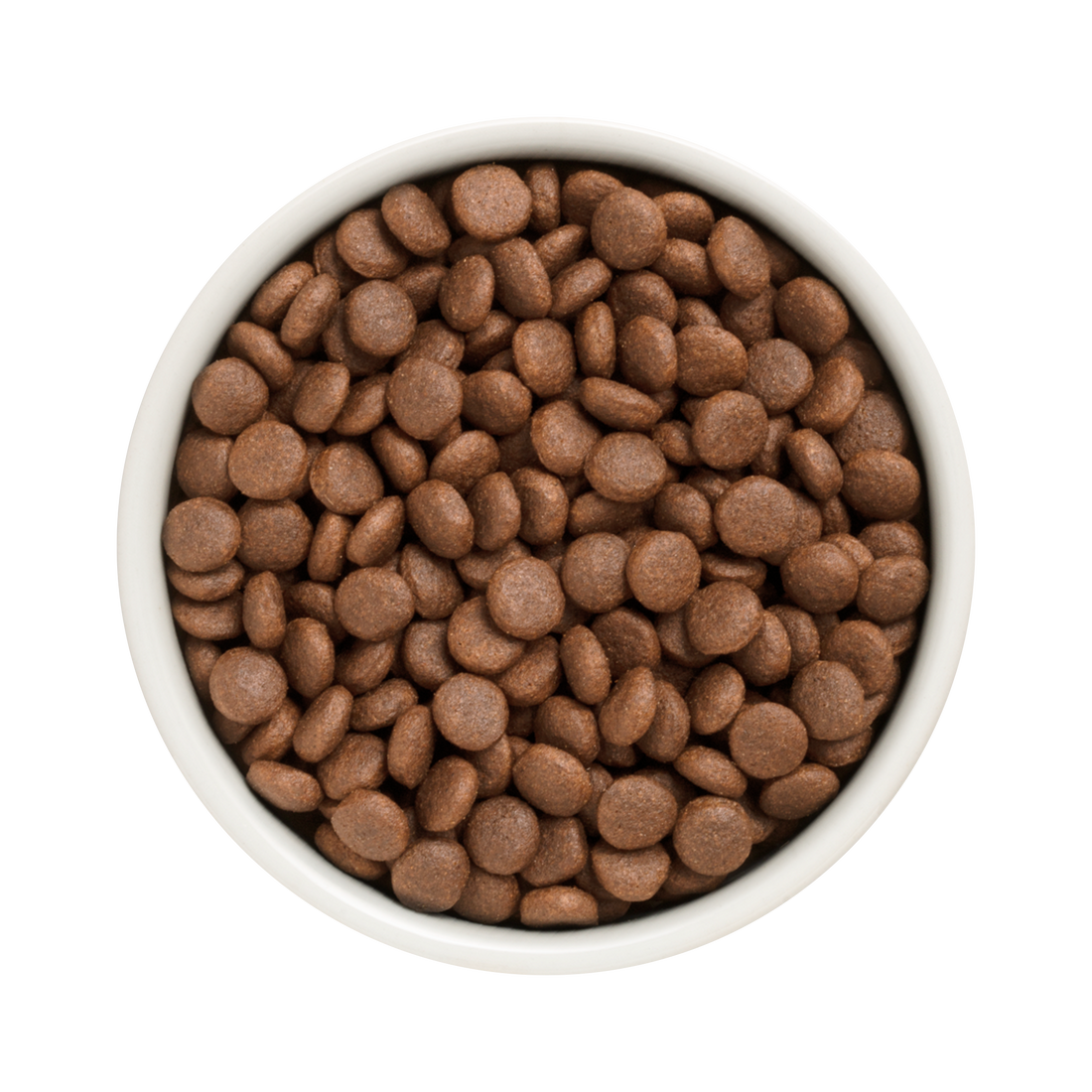 Grandorf Duck & Turkey dry dog food for adult medium and maxi breeds in a 1kg bag, natural nutritional blend for dogs.