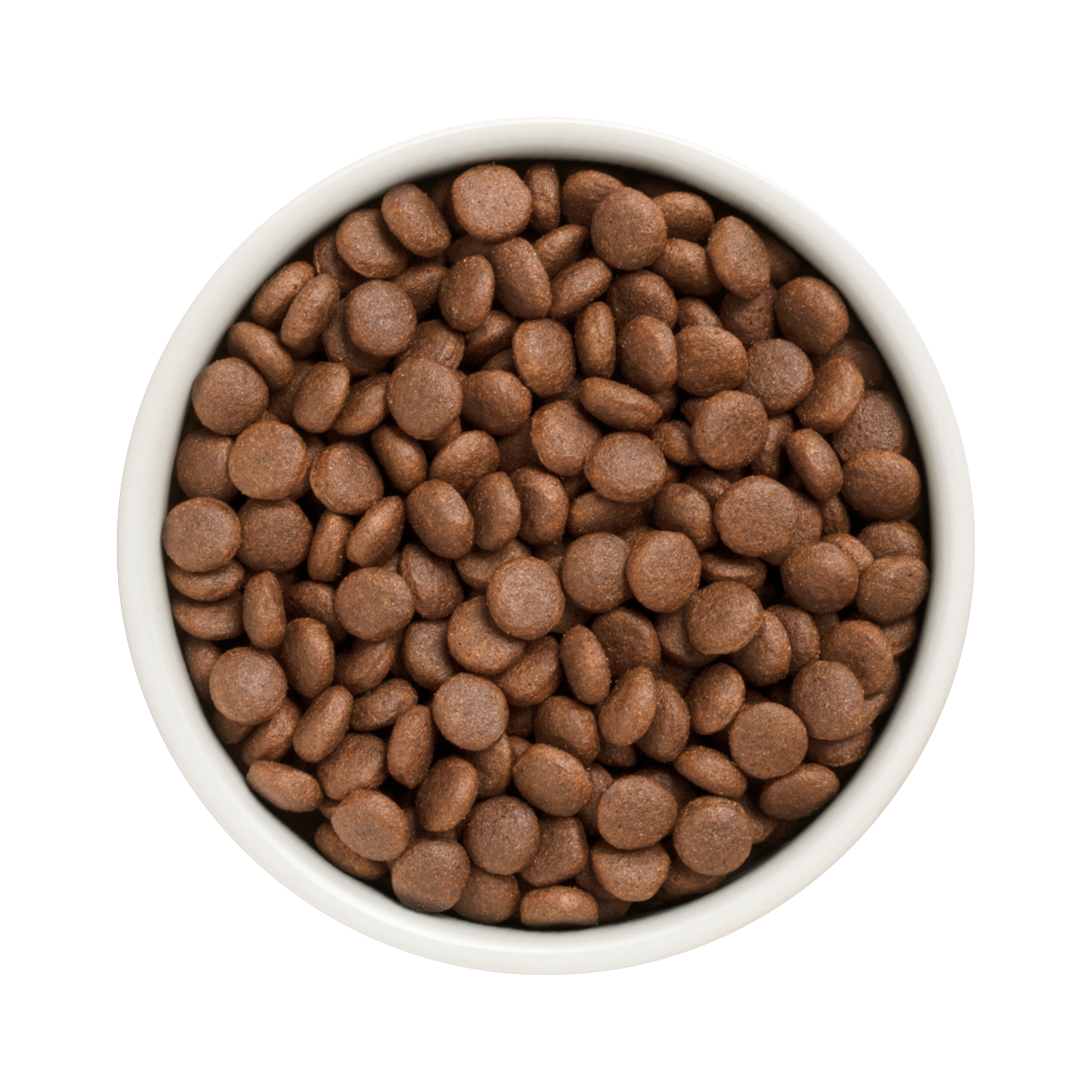 Grandorf Duck & Turkey dry dog food for adult medium and maxi breeds in a 1kg bag, natural pet nutrition for active dogs.