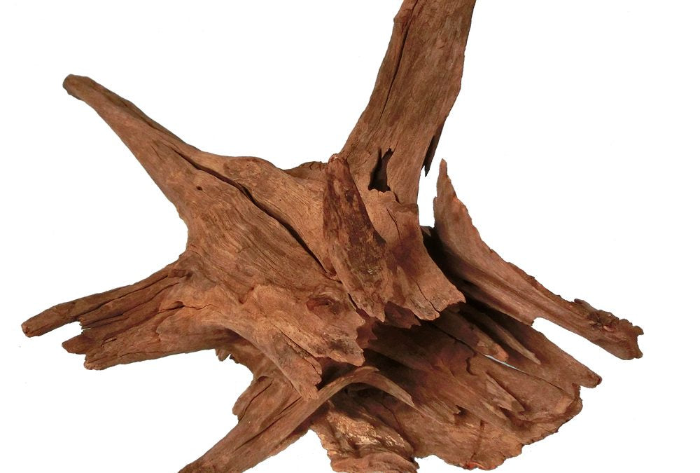 Hugo Kamishi Corbo Catfish Root, 30-40cm, aquarium accessory with natural wood appearance for fish tanks.