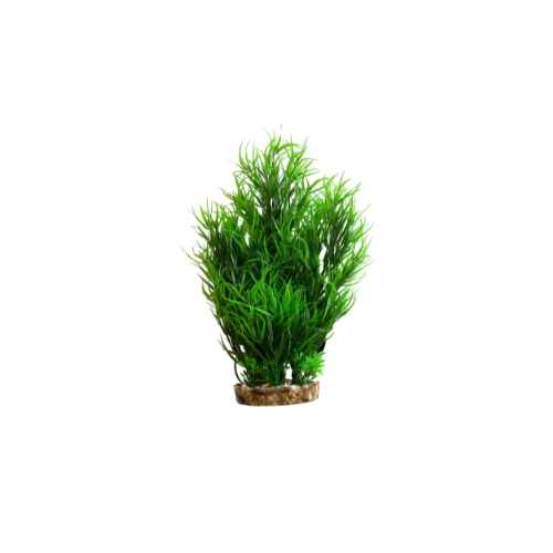 Hugo Mizu Juncus Green 30cm aquarium decoration by Hugo Kamishi, natural-looking aquatic plant for fish tanks.