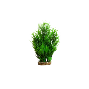 Hugo Mizu Juncus Green 30cm aquarium decoration by Hugo Kamishi, natural-looking aquatic plant for fish tanks.