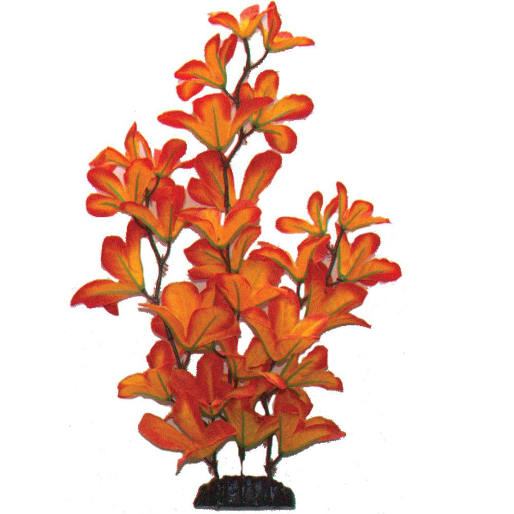 Hugo Sunset Macrandra Silk 50cm - ديكور حوض السمك - Zue For Pet Supplies Co.