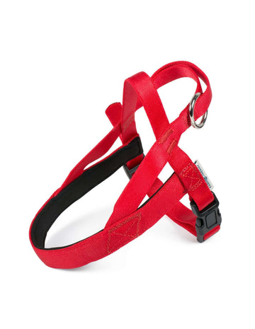 Nylon Norwegian padded harness Red XL 25mmx46-76cm - مستلزمات الحيوانات الأليفة - Zue For Pet Supplies Co.