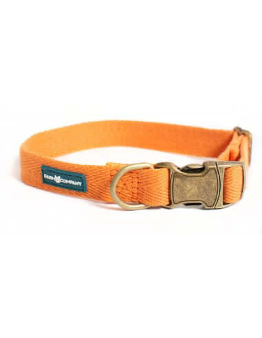 Farm Company Green Soybean Adj. Collar Pumpkin - 2.5x38 60cm - طوق الكلاب - Zue For Pet Supplies Co.