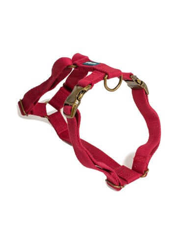 Farm Company Green Soybean Adjustable Harness Burgundy - 2x50 60cm - مجموعة رباط تحكم وصدرية للكلاب - Zue For Pet Supplies Co.
