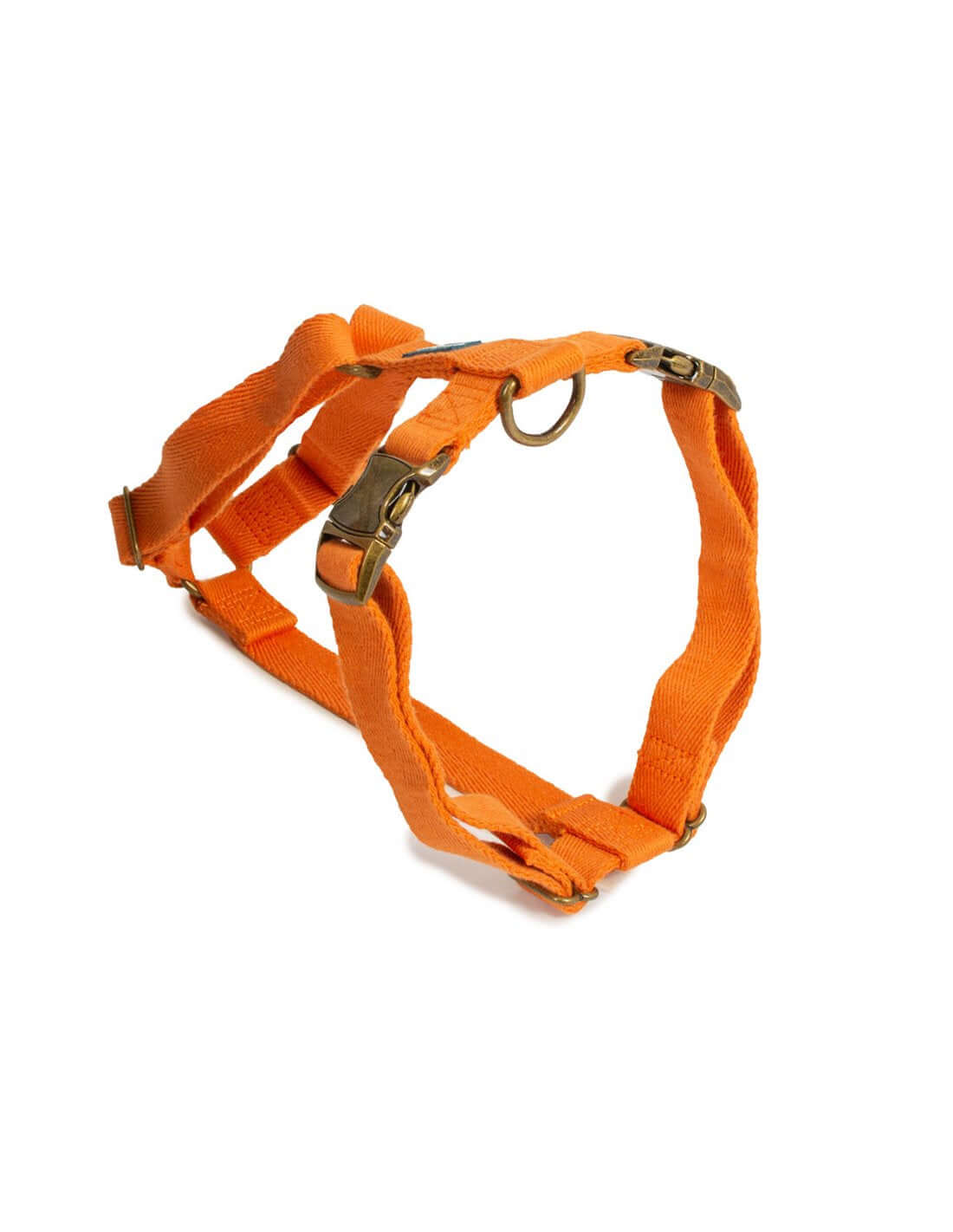 Farm Company green soybean adjustable dog harness with pumpkin design, 2x50cm, comfortable and secure for small to medium dogs.