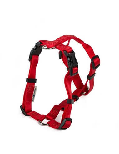 Farm Company Nylon harness - Red 10mmx20-35cm - مجموعة رباط تحكم وصدرية للكلاب - Zue For Pet Supplies Co.