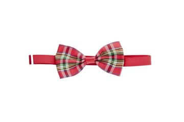 Ferribiella tartan bow tie for dogs, stylish dog accessory with a classic tartan pattern, perfect for pet fashion.