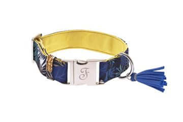 Ferribiella Kami Collar L 3.8X35-56cm Yellow - طوق الكلاب - Zue For Pet Supplies Co.