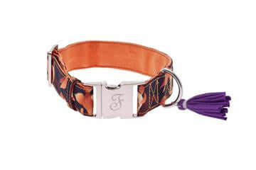 Ferribiella Kami Collar S 2.5X22-35cm Orange - طوق الكلاب - Zue For Pet Supplies Co.